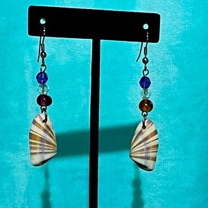 Coquina Sea Shell Earrings